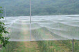 全新料的抗氧化的青菜防虫网用于蔬菜防虫网批发