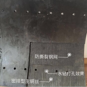 海順德供應(yīng)斗式提升機(jī)鋼絲膠帶