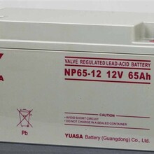 汤浅免维护铅酸蓄电池YUASANP65-1212V65AH蓄电池