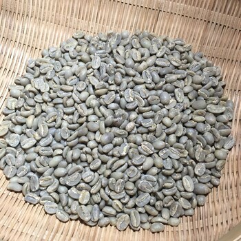 衣索比亞西達摩水洗咖啡豆G1古基GUJI奇麗地咖啡粉