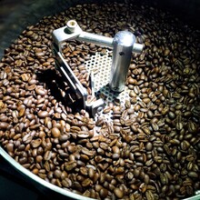 吉森精品咖啡豆供应哥斯达黎加火凤凰日晒黑玫瑰咖啡豆图片