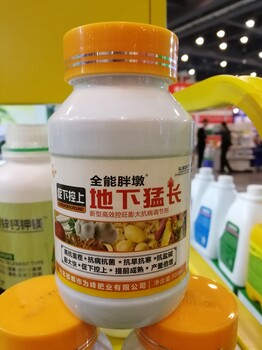 胖墩地下猛长地下飙长根茎类等