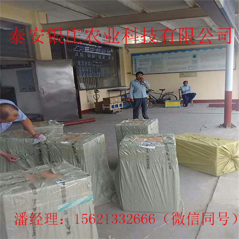 妙香七號(hào)草莓苗出售 草莓苗基地