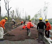 北京彩色压印地坪材料北京透水混凝土增强剂图片5