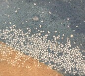钦州艺术洗砂地坪施工流程广西洗砂地坪图片3