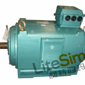 西玛高压电机Y/YKS5001-2-1120KW-6KV-10KV-IP23-IP54西玛全系列