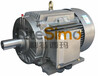 西安西玛超高效电机YE4-315L1-4，160KW，1级能效