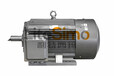 西安西玛超高效电机YE4-355L2-4,280KW,1级能效