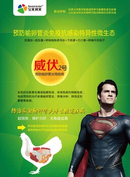 威伏-防治蛋雞輸卵管炎的微生態(tài)制劑-寶來利來