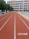 广东跑道材料厂家塑胶跑道面层运动场地施工全塑型跑道图片4