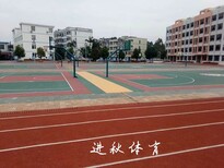 广东跑道材料厂家塑胶跑道面层运动场地施工全塑型跑道图片0