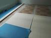 PVC地胶，pvc卷材，室内运动地板