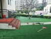幼儿园人造草景观草坪人造草地坪施工