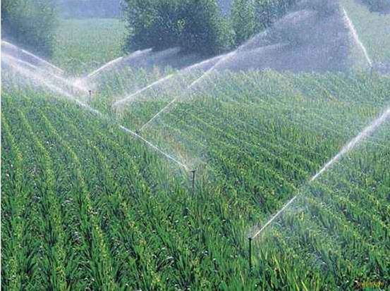 广安大田微喷厂家供应指导安装大田灌溉