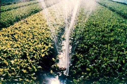 阿泰勒微喷带型号厂家自动灌溉