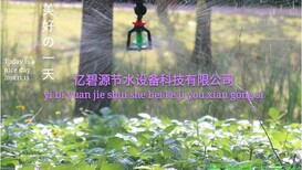枣庄大棚微喷安装视频上门安装自动灌溉图片4