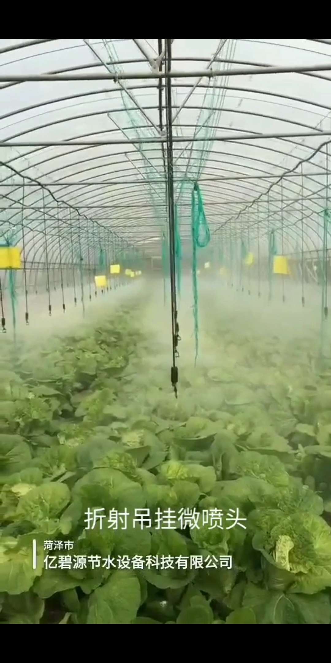 哈密大棚微喷安装视频厂家节水灌溉