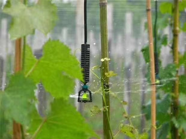长治大棚微喷安装视频节水灌溉自动灌溉