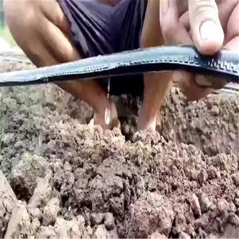 伊犁哈萨克滴灌技术视频pe管自动灌溉