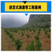 雅安背负式电动施肥机工程施工自动灌溉