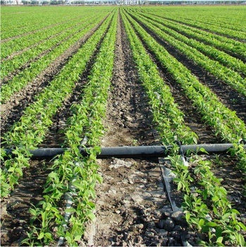 衡水内蒙迷宫式滴灌带便宜pe管道自动灌溉
