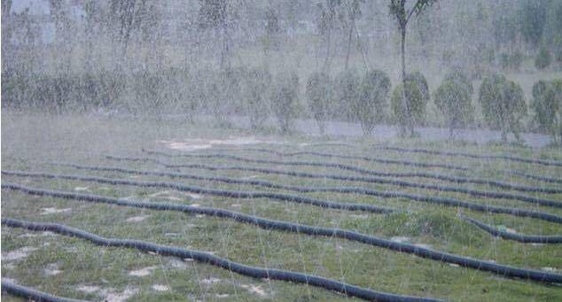 西城绿化喷灌带价格果园灌溉微喷带