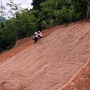 護(hù)坡植生毯抗沖刷植被毯礦山修復(fù)生態(tài)毯