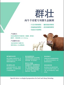群壮——肉牛羊育肥微生态制剂