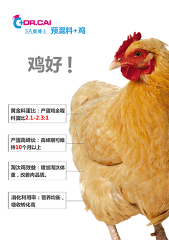 蛋鸡预混料哪家价格实惠、质量？宝来利来5A蔡博士