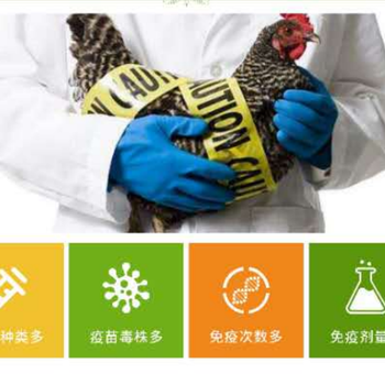 粘膜在養(yǎng)殖過程中有什么樣的作用？寶來利來泰的效果怎么樣？