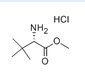 天鸿生化大量供应L-叔亮氨酸甲酯盐酸盐63038-27-7