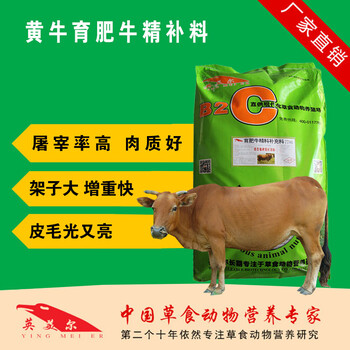 青貯飼料可以喂牛嗎？青貯飼料如何喂牛？