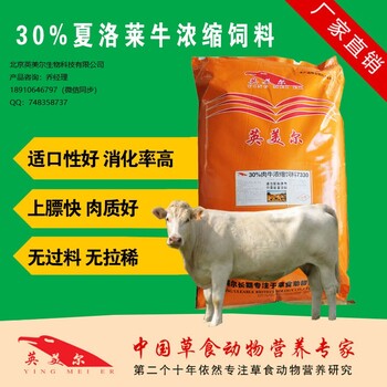 肉牛浓缩料？育肥牛浓缩料哪个厂家好？