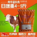 冬季怎样使肉牛快速增肥？育肥牛养殖饲料有哪些？