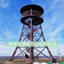 定制塔城观光塔裕民观光塔额敏观光塔(免费设计)图片