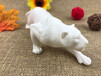 义乌搪胶玩具定制DIY涂鸦白模填色豹子动物公仔模型来样订制