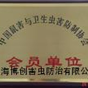 闵行杀白蚁服务-上海除白蚁公司-上海除虫-灭白蚂蚁服务-灭老鼠公司