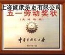 虹口灭白蚁公司-上海除虫-除白蚁公司-家庭杀白蚁公司\白蚁预防公司图片