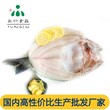 安徽三珍食品冷冻小规格开背鮰鱼烤鱼食材