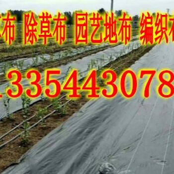 陵县防草布