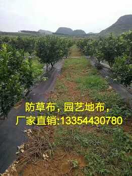 果园除草布-防草布批示市场大全