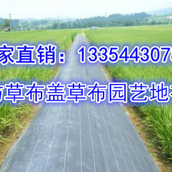 沧州市2020_防草布_除草布_果园防草布价格