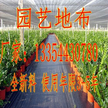 盖草布_盖草布厂家_山东正宇土工材料厂家