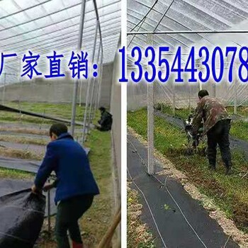 种植蓝莓用的防草布园艺地布