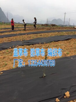 陇南全新防草布,除草布