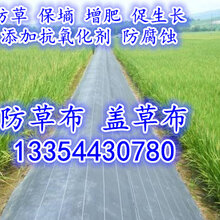 山东2米宽果园防草布生产厂家图片