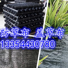 2020果园防草布,盖草布价格图片