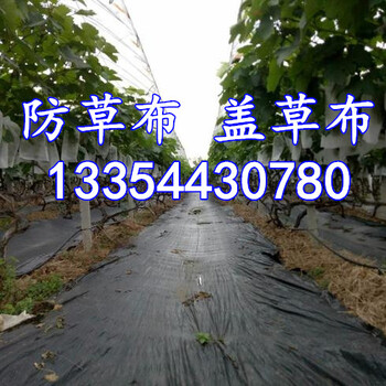 2019年山東地區(qū)果園防草布價(jià)格來(lái)咨詢祝經(jīng)理