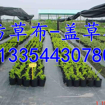 订做果树除草布防草布批发防草布厂家让利出售