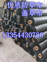 专用防草布农业除草布果园防草布使用说明书图片